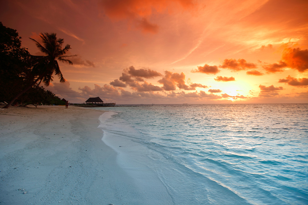 Transform Your Space with Environmental Graphics