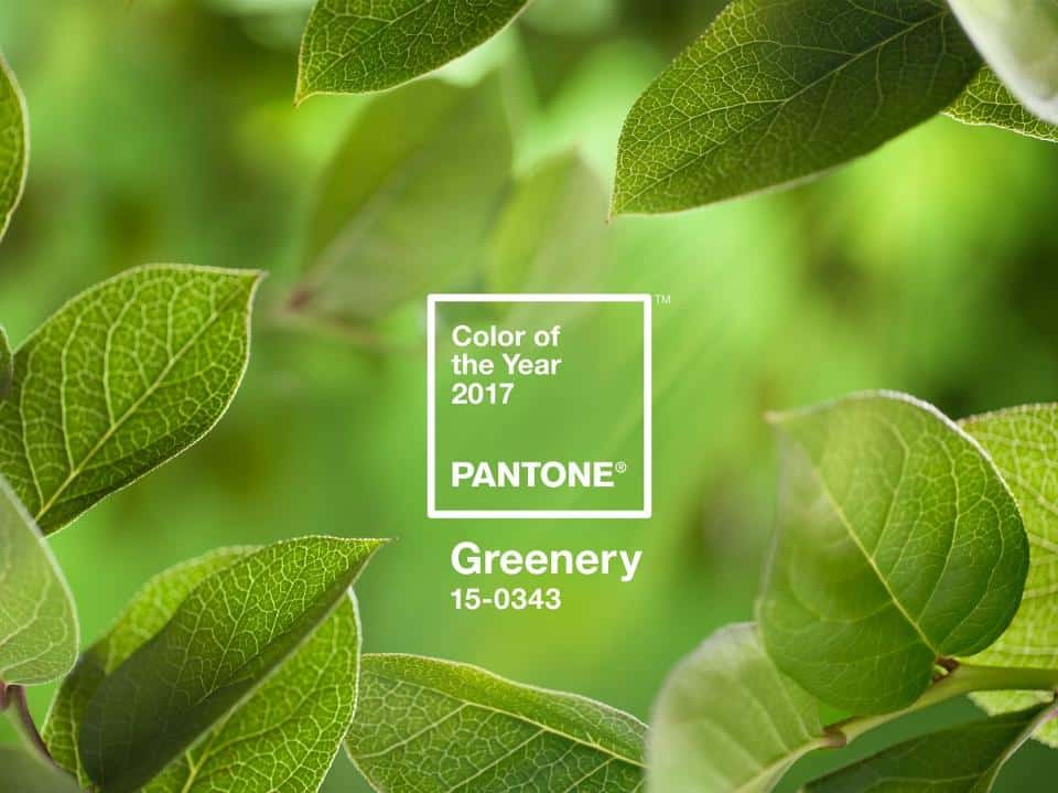 Pantone's Color of the Year: Greenery