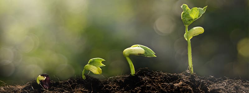 Kick Spring into Gear with New Marketing Materials